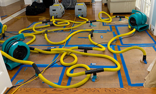 Professional Water Damage Repair technician working in Port Washington, OH